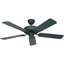 Bild von Deckenventilator Royal Graphit Ø 132cm.