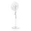 Image de Ventilateur sur colonne Trend VC 35 S noir, diamètre de corbeille 450mm