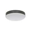 Image sur Lampe EN5r-LED BG pour Eco Concept, Eco Neo III, 1x18W LED, gris basalte.