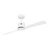 Immagine di Ventilatore da soffitto a risparmio energetico Eco Concept Ø 132cm, WE-WE/LG. WiFi. (Casafan)
