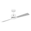 Immagine di Ventilatore da soffitto a risparmio energetico Eco Concept Ø 132cm, WE-WE/LG. WiFi. (Casafan)