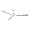 Immagine di Ventilatore da soffitto a risparmio energetico Eco Concept Ø 152cm, WE-WE/LG. WiFi. (Casafan)