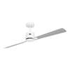 Immagine di Ventilatore da soffitto a risparmio energetico Eco Concept Ø 152cm, WE-WE/LG. WiFi. (Casafan)