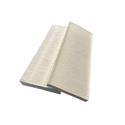 Immagine di EFDL 50-2 Set di filtri per DL50 WH2/WA2/WE2 (Dimplex)